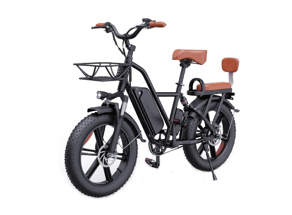 Electric vehicle