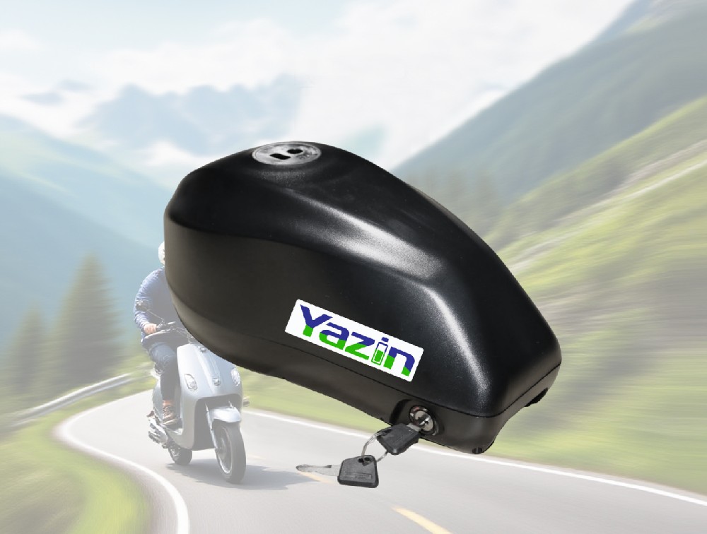 电动自行车锂电池