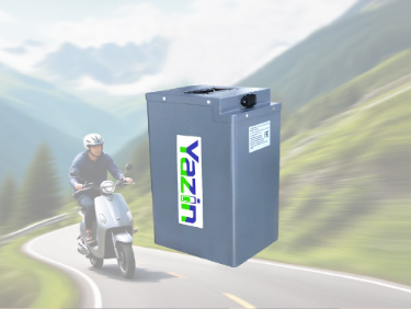 Electric Vehicle Battery Series