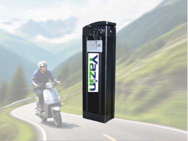 Electric Vehicle Battery Series