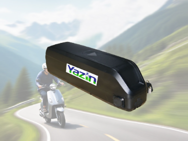 Electric Vehicle Battery Series
