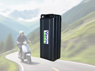 Electric Vehicle Battery Series